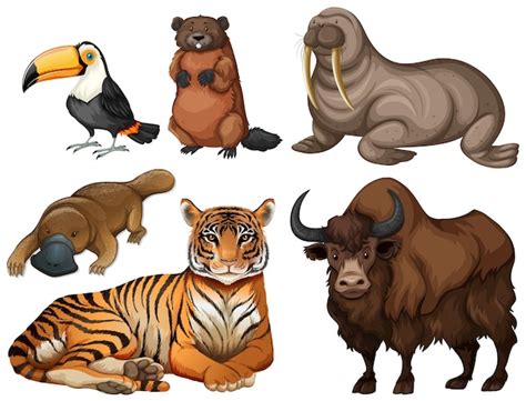 Diferentes Tipos De Ilustra O De Animais Selvagens Vetor Premium