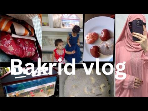 Bakrid Vlog Bakrid Vlog In Tamil Eid Adha Youtube