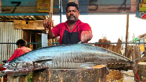 Kasimedu Speed Selvam Kg Big Seer Fish Cutting Video In