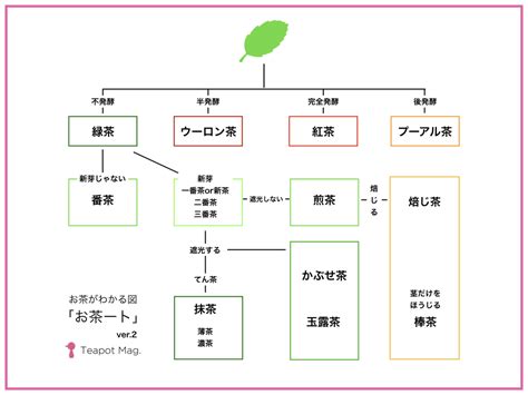 緑茶・紅茶・ウーロン茶はもともと同じ茶葉？お茶の違いをお茶ート図で解説 お茶と日常を旅するマガジン「teapot Mag」