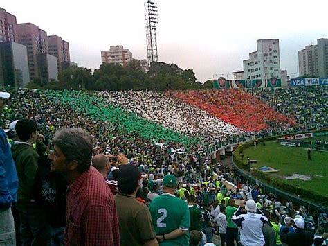 Torcida Que Canta E Vibra Palmeiras F S