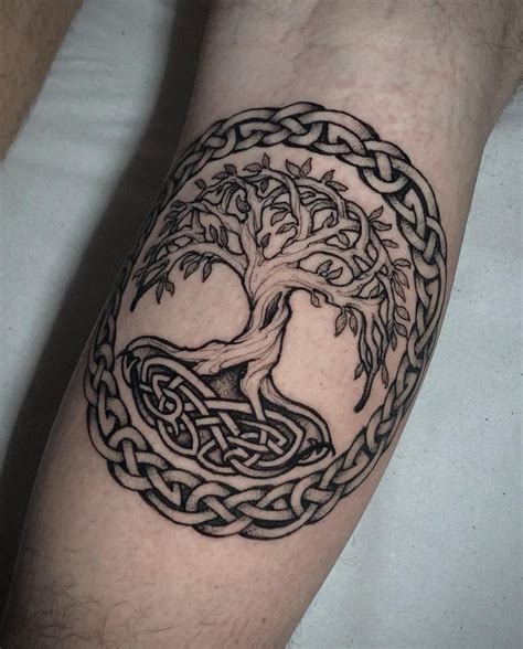 Celtic Tree Of Life Tattoo In Celtic Tree Tattoos Life Tattoos