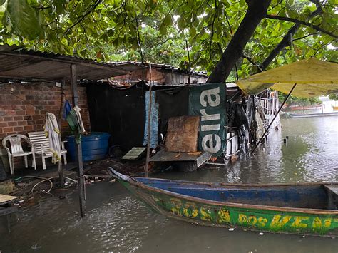 Sururu Desaparece Da Lagoa Munda Deixando Fam Lias Sem Sustento