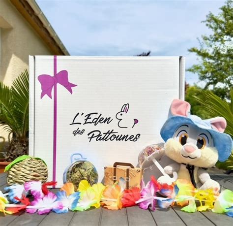 Box Mensuelle Pour Lapins L Eden Des Pattounes