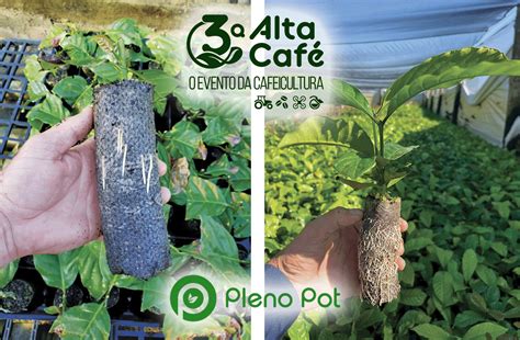 3ª ALTA CAFÉ Paperpots da Pleno Pot para mudas de café