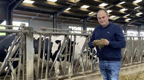 la précision de la ration dans l alimentation des vaches laitières au