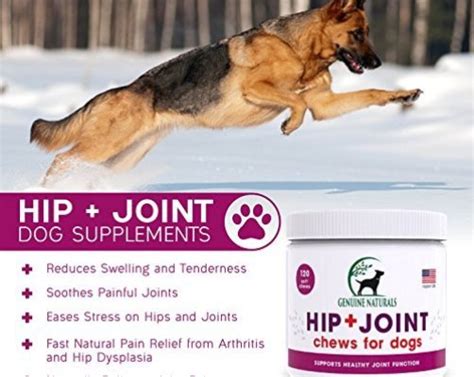 Top 10 Best Dog Supplements For Joint Pain - Best of 2018 Reviews | No Place Called Home