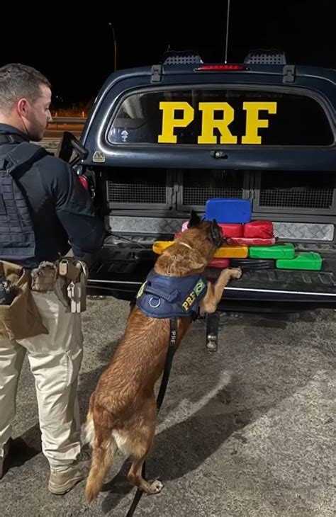 Prf Realiza Apreensão De Mais De 15 Kg De Cocaína Em Feira De Santana