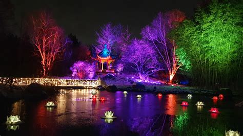 Christmas Garden Hamburg Toppt Erwartungen Hervorragendes Ergebnis