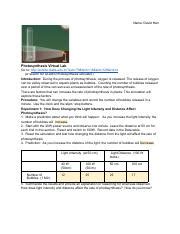 Exploring Photosynthesis Factors Light Intensity And Color Course Hero