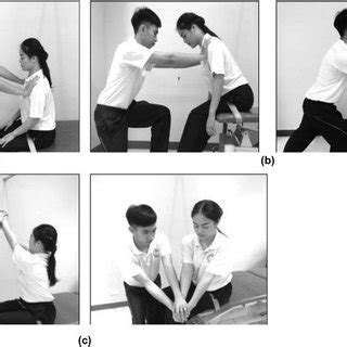flow   participants  scientific diagram