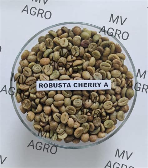 Robusta Cherry A Unwashed Green Coffee Beans Screen 17 MV Agro