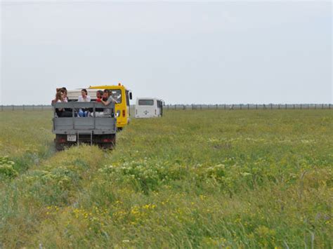 Biosphere Reserve Askania Nova in Askania Nova, Ukraine