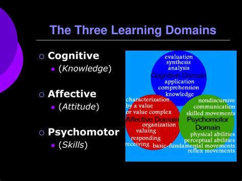 Three Domains Of Teaching