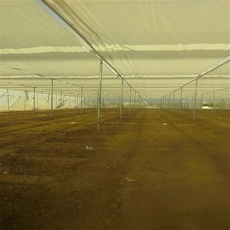 Greenhouse Shade Net Packaging Type Pb At Rs 1850square Meter In