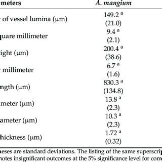 Quantitative Anatomical Characteristics Of A Mangium And A Hybrid