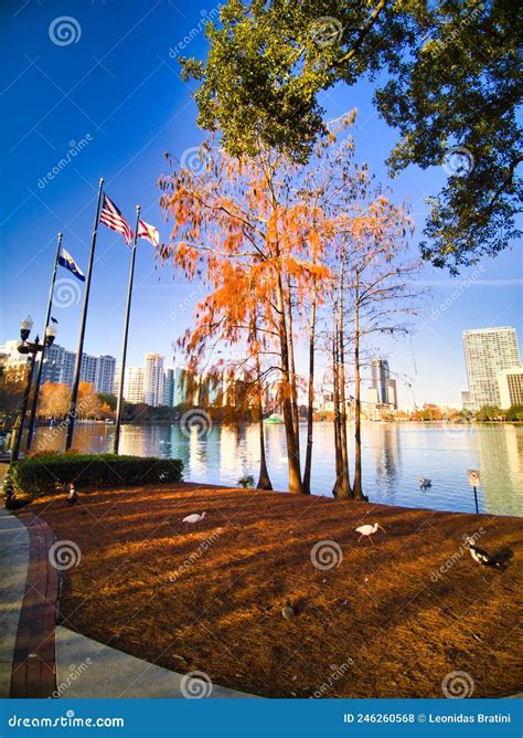 Impresionantes Vistas Al Lago En Medio Del Lago Eola Park Orlando