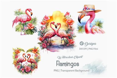 Flamingos Clipart Flamingo PNG Bundle Graphic By Creationx Space