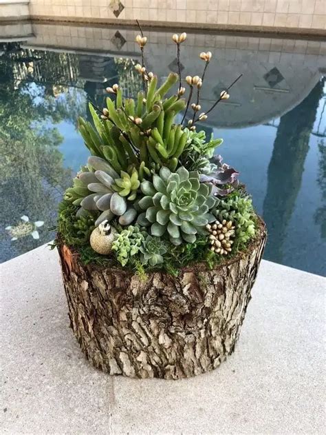 Driftwood Succulent Planter Ideas For Your Home Succulent Garden