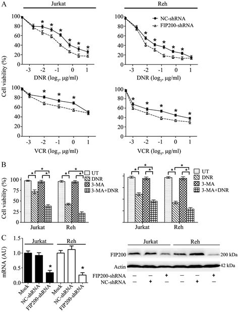 Hmgb1 Translocation Is Involved In The Transformation Of Autophagy