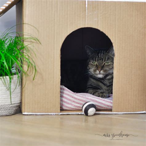 Katzenhaus Aus Pappe Bauen Mit Anleitung Auf Mrsgreenhouse De