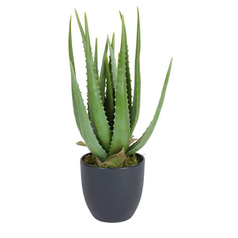 Künstliche Aloe Vera im Topf 45cm