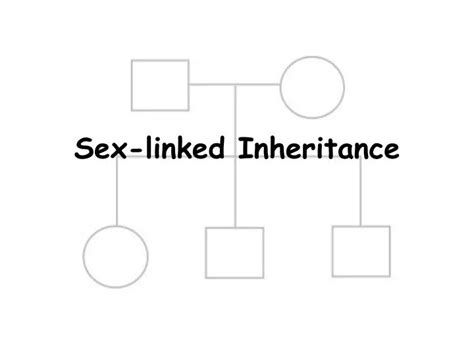 Ppt Sex Linked Inheritance Powerpoint Presentation Free Download Id5578567