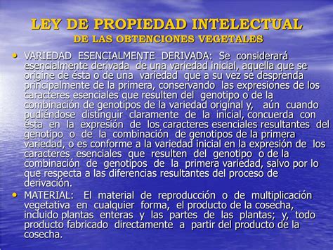 PPT MARCO LEGAL DE LA PROPIEDAD INTELECTUAL PowerPoint Presentation