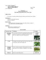 2 Plant Morphology Docx Name CALVO JOSHUA V UCLOS MARK JOMEL S P