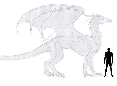 Dragon Reference Sheet Wip By Anonymous Dragon On Deviantart