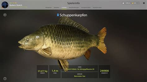 Russian Fishing 4 Amber Lake Active Trophy Spot Super Trophy Common