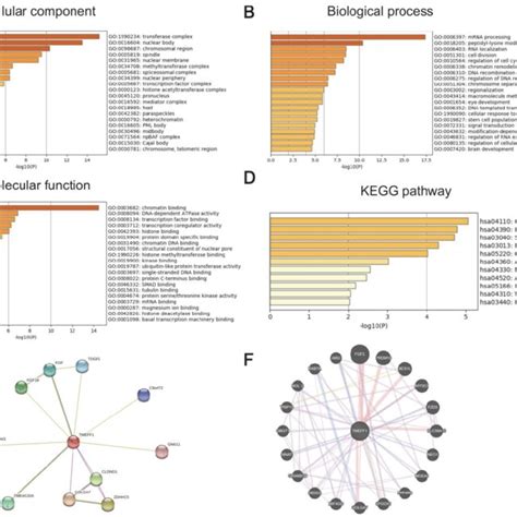 The Significantly Enriched Go Annotation And Kegg Pathway Terms Of