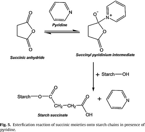 Structure And Physicochemical Properties Of Octenyl Succinic Anhydride Modified Starches A