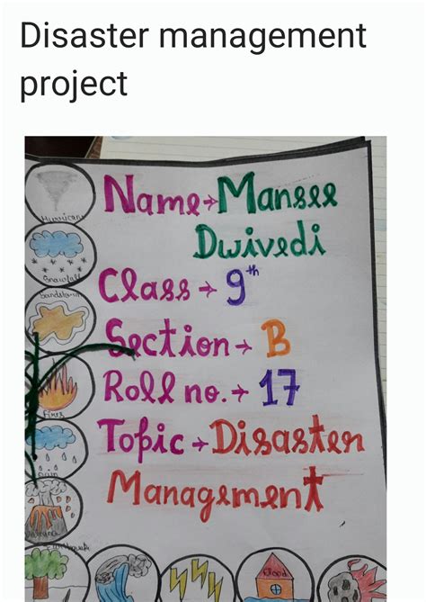 Solution Disaster Management Project File Studypool