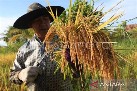 Distanbun Belum Semua Petani Tebus Pupuk Subsidi Secara Digital