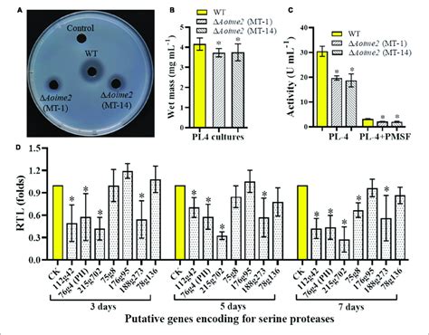 Comparison Of Extracellular Proteolytic Activity And Transcriptional