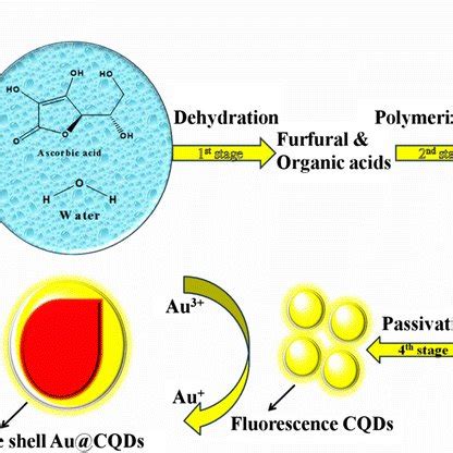 Graphical Mechanism For The Formation Of Fluorescence CQDs And