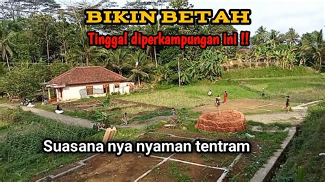 Bikin Betah Tinggal Diperkampungan Ini Dengan Suasana Suasana Nya