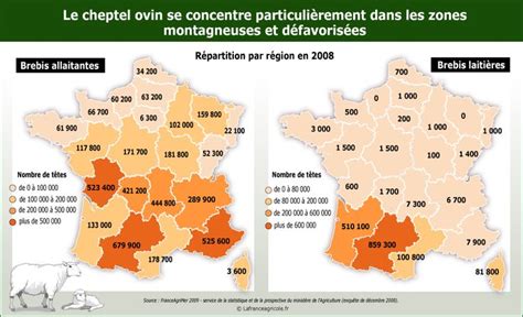 L élevage des ovins en France La laitière Brebis