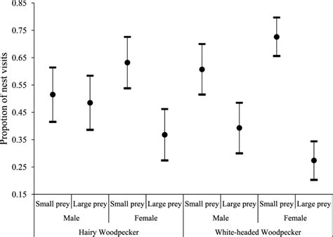 Proportion Of Small And Large Prey Mean 6 95 Ci Brought To Nestlings Download Scientific