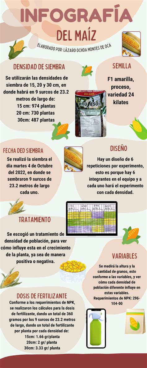 Infografia Maiz Infographics90 Modafinil24