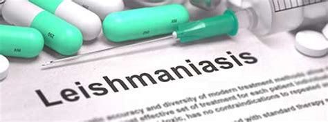 Leishmaniasis: Causes, Symptoms And Treatment | Netmeds