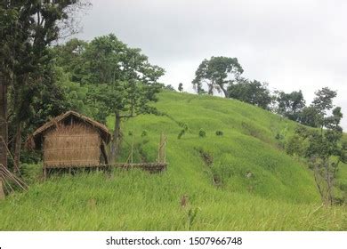 225 Chittagong hill tracts Images, Stock Photos & Vectors | Shutterstock