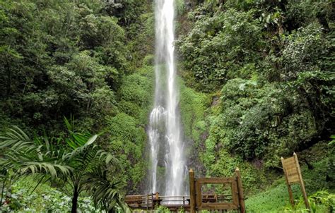 Excursi N Al Santuario De Fauna Y Flora Ot N Quimbaya