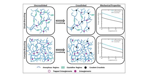 Thermomechanical Properties Of Cross Linked Eva A Holistic Approach