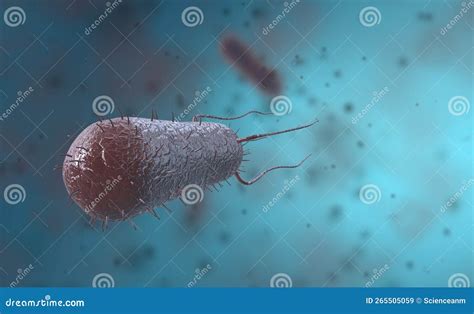 Bacillus Is A Gram Positive And Spore Forming Bacterium In The Form Of