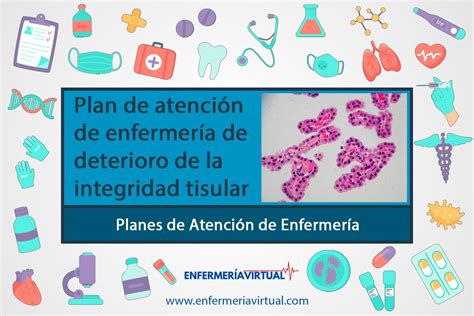 Pae De Deterioro De La Integridad Tisular Enfermer A