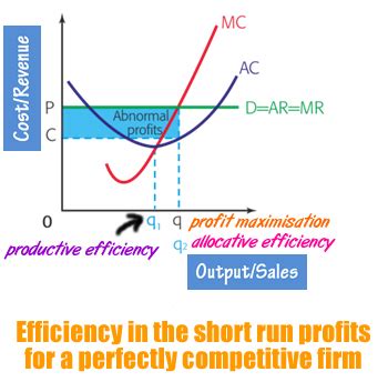 Efficiency In Perfect Competition Hl Topic