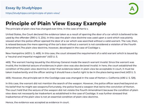 Principle Of Plain View Essay Example