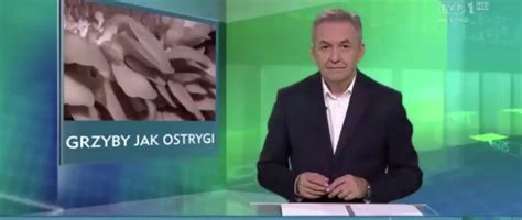 Grzyby Jak Ostrygi Rusieccy Uprawa Grzyb W I Grzybni